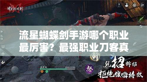 流星蝴蝶劍手游哪個(gè)職業(yè)最厲害？最強(qiáng)職業(yè)刀客真的無(wú)敵嗎？