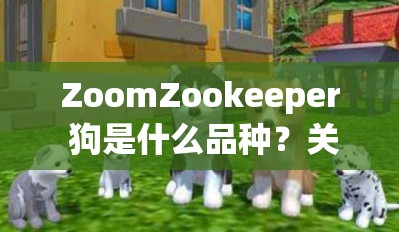 ZoomZookeeper 狗是什么品種？關(guān)于它的特點(diǎn)和飼養(yǎng)方法大揭秘