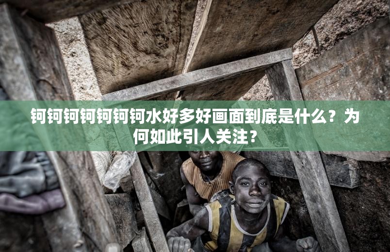 鈳鈳鈳鈳鈳鈳鈳水好多好畫面到底是什么？為何如此引人關(guān)注？