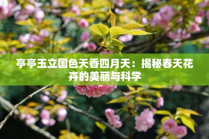 亭亭玉立國色天香四月天：揭秘春天花卉的美麗與科學
