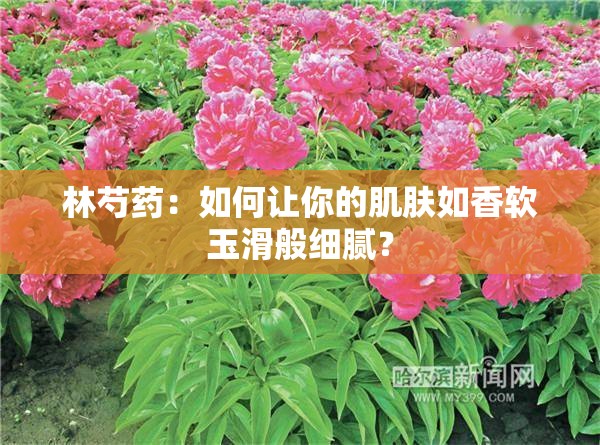 林芍藥：如何讓你的肌膚如香軟玉滑般細(xì)膩？