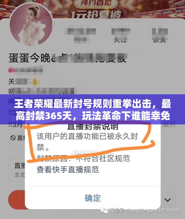 王者榮耀最新封號(hào)規(guī)則重拳出擊，最高封禁365天，玩法革命下誰能幸免？