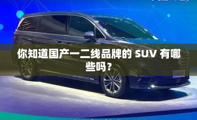 你知道國(guó)產(chǎn)一二線品牌的 SUV 有哪些嗎？