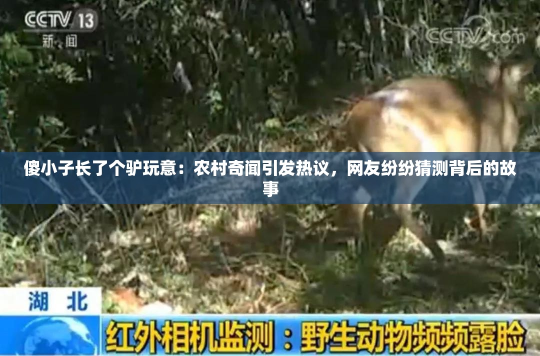 傻小子長了個驢玩意：農(nóng)村奇聞引發(fā)熱議，網(wǎng)友紛紛猜測背后的故事