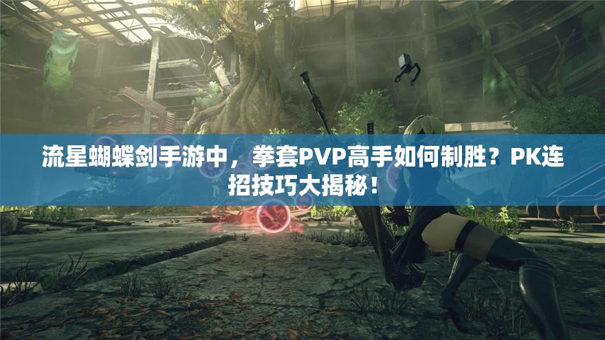 流星蝴蝶劍手游中，拳套PVP高手如何制勝？PK連招技巧大揭秘！