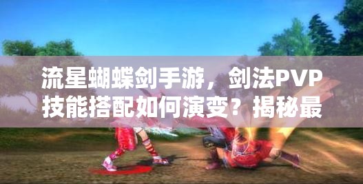 流星蝴蝶劍手游，劍法PVP技能搭配如何演變？揭秘最強搭配懸念！