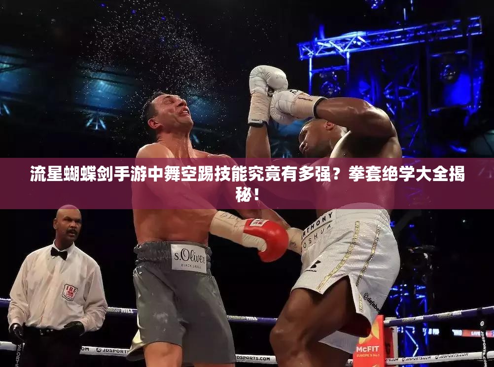 流星蝴蝶劍手游中舞空踢技能究竟有多強？拳套絕學大全揭秘！