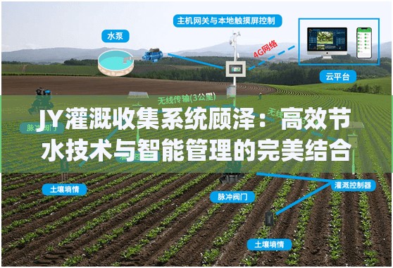 JY灌溉收集系統(tǒng)顧澤：高效節(jié)水技術(shù)與智能管理的完美結(jié)合
