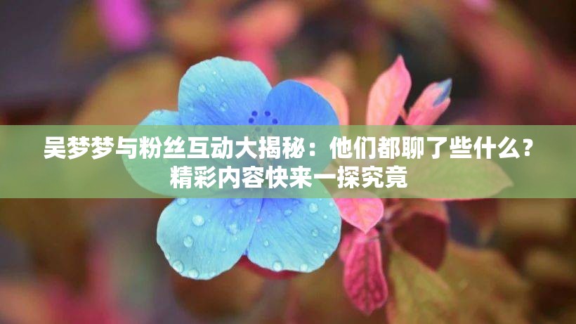 吳夢夢與粉絲互動大揭秘：他們都聊了些什么？精彩內(nèi)容快來一探究竟