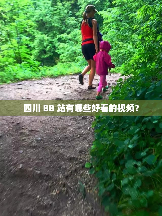 四川 BB 站有哪些好看的視頻？