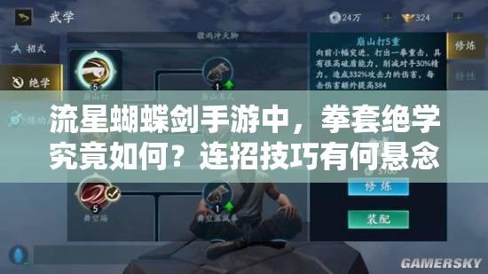 流星蝴蝶劍手游中，拳套絕學(xué)究竟如何？連招技巧有何懸念？