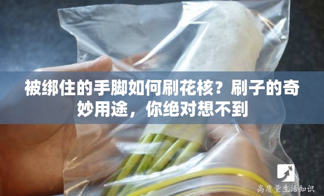 被綁住的手腳如何刷花核？刷子的奇妙用途，你絕對(duì)想不到