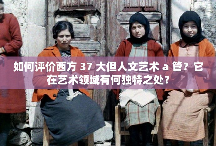如何評價西方 37 大但人文藝術(shù) a 管？它在藝術(shù)領(lǐng)域有何獨特之處？