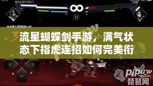 流星蝴蝶劍手游，滿氣狀態(tài)下指虎連招如何完美銜接，資源管理藝術(shù)揭秘？