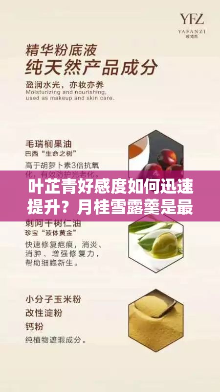 葉芷青好感度如何迅速提升？月桂雪露羹是最佳禮物嗎？