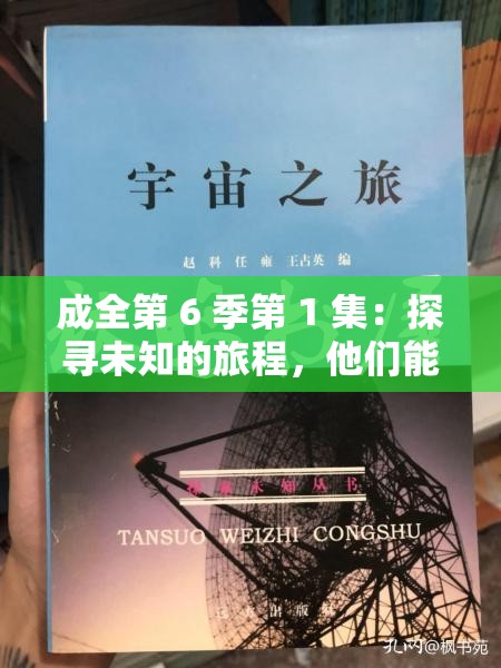 成全第 6 季第 1 集：探尋未知的旅程，他們能否找到真愛？