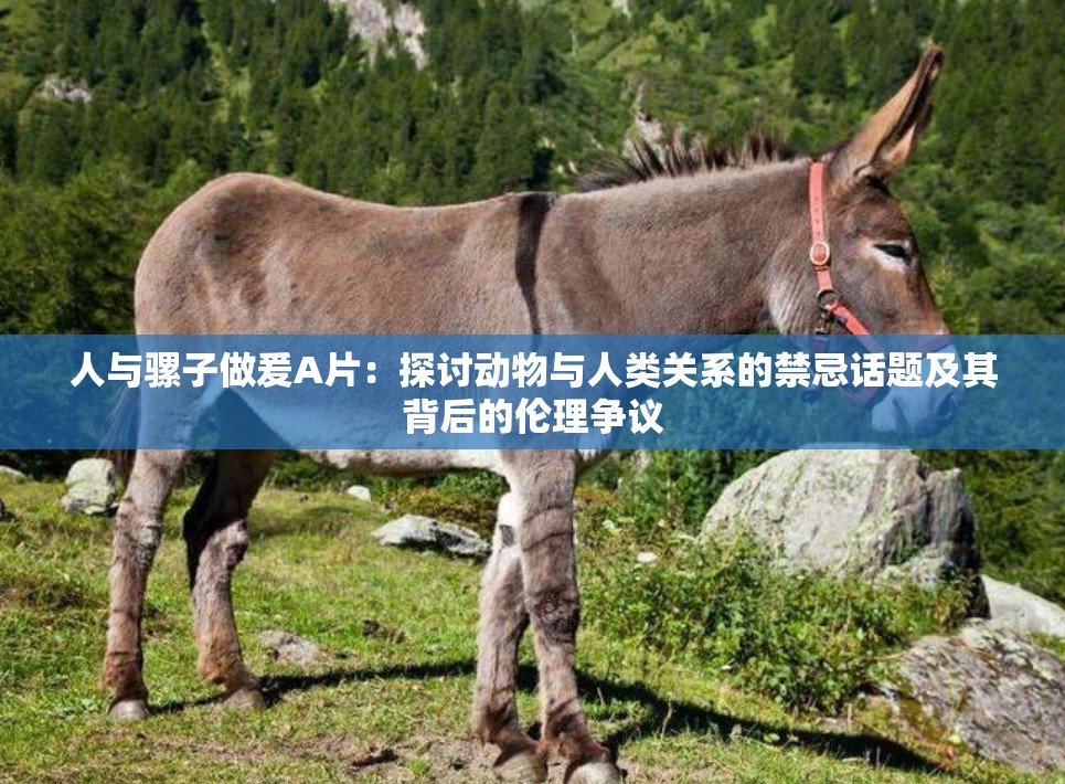 人與騾子做爰A片：探討動(dòng)物與人類(lèi)關(guān)系的禁忌話題及其背后的倫理爭(zhēng)議