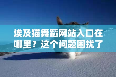 埃及貓舞蹈網(wǎng)站入口在哪里？這個問題困擾了我好久，誰能告訴我？