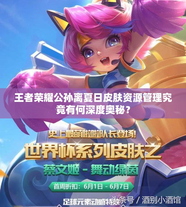 王者榮耀公孫離夏日皮膚資源管理究竟有何深度奧秘？