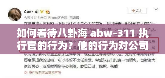 如何看待八卦海 abw-311 執(zhí)行官的行為？他的行為對公司和社會有什么影響？