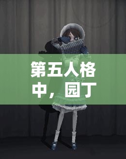 第五人格中，園丁、醫(yī)生與空軍聯(lián)手，拆椅戰(zhàn)術(shù)下資源管理的重要性何在？策略揭秘！