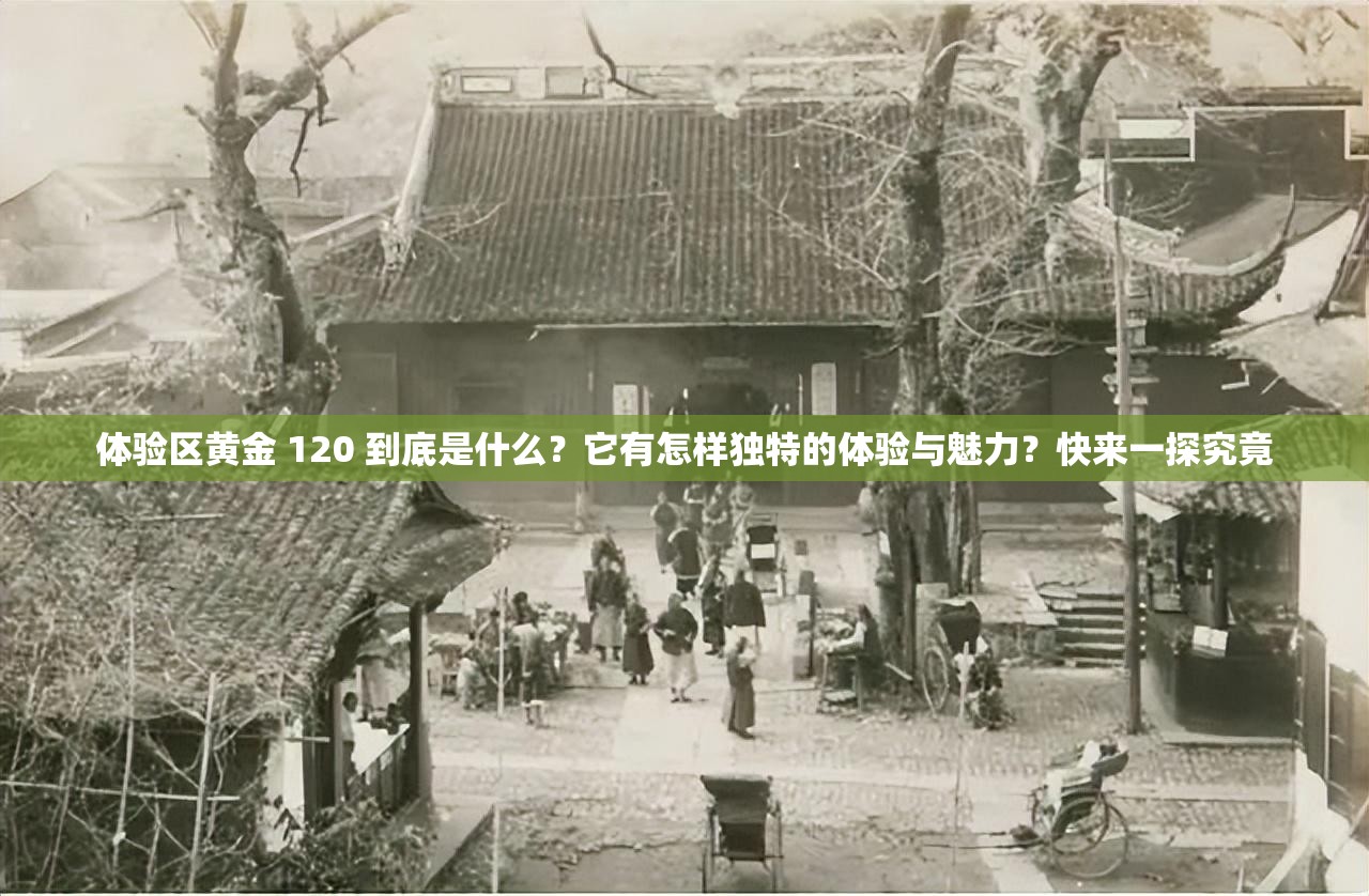 體驗區(qū)黃金 120 到底是什么？它有怎樣獨特的體驗與魅力？快來一探究竟