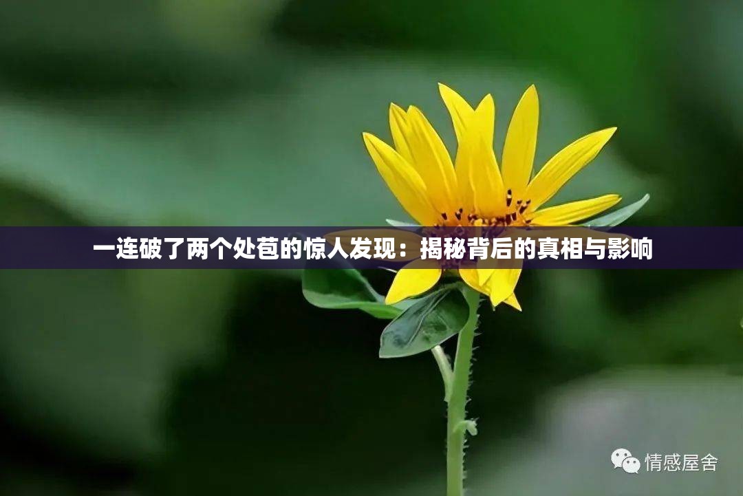 一連破了兩個(gè)處苞的驚人發(fā)現(xiàn)：揭秘背后的真相與影響