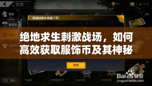 絕地求生刺激戰(zhàn)場(chǎng)，如何高效獲取服飾幣及其神秘作用大揭秘？