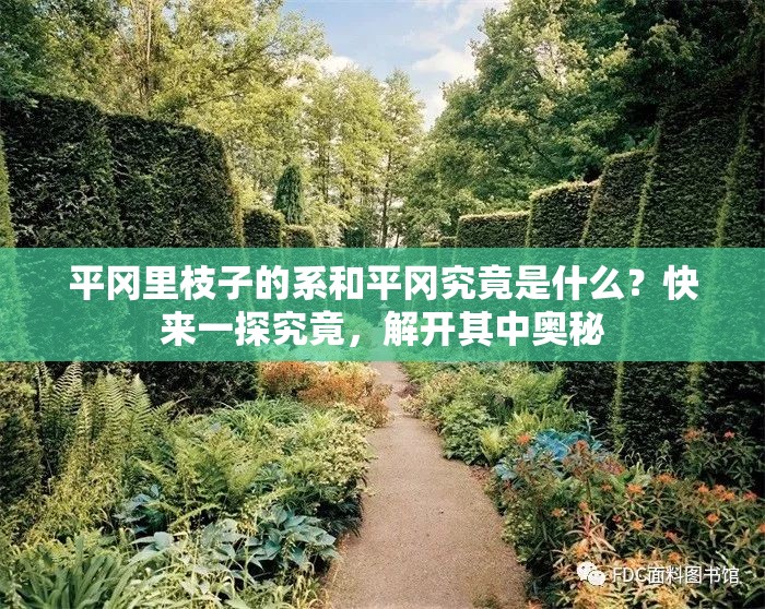 平岡里枝子的系和平岡究竟是什么？快來一探究竟，解開其中奧秘