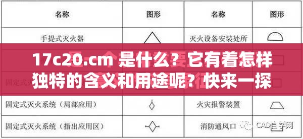 17c20.cm 是什么？它有著怎樣獨(dú)特的含義和用途呢？快來一探究竟
