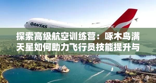 探索高級航空訓(xùn)練營：啄木鳥滿天星如何助力飛行員技能提升與職業(yè)發(fā)展