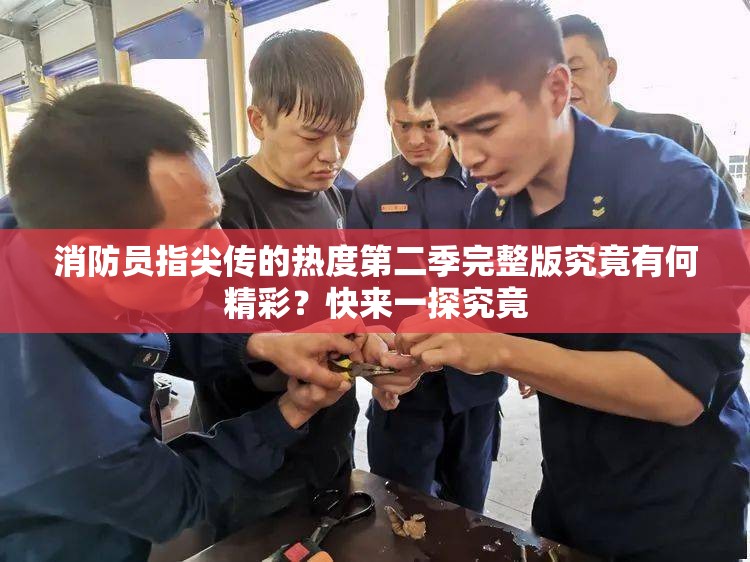 消防員指尖傳的熱度第二季完整版究竟有何精彩？快來(lái)一探究竟
