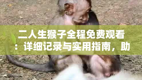 二人生猴子全程免費(fèi)觀看：詳細(xì)記錄與實(shí)用指南，助你全面了解全過程