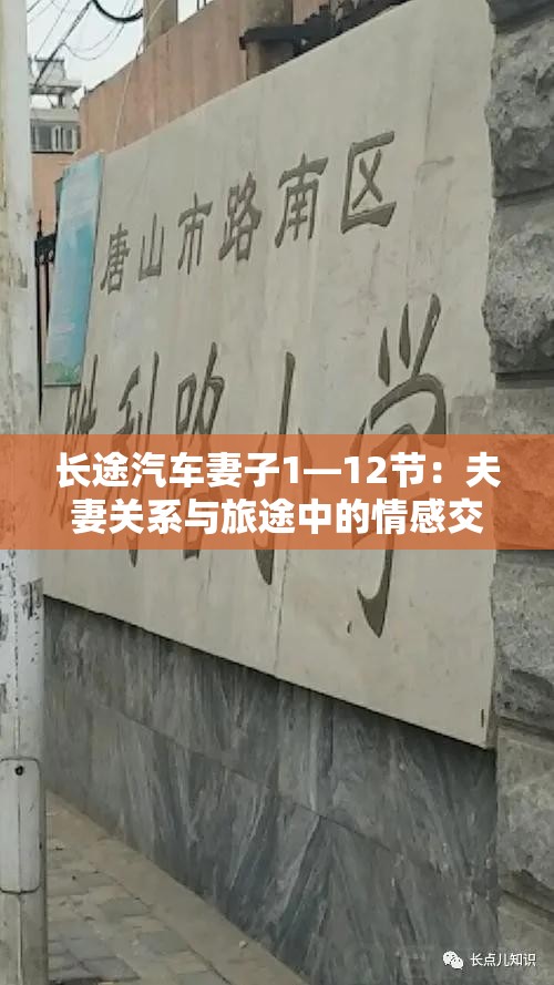 長(zhǎng)途汽車妻子1—12節(jié)：夫妻關(guān)系與旅途中的情感交織