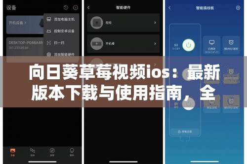 向日葵草莓視頻ios：最新版本下載與使用指南，全面解析功能與體驗