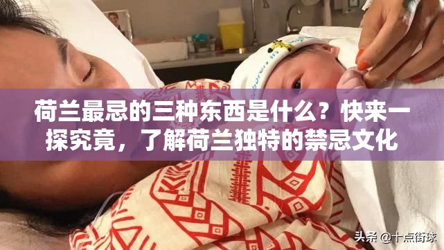 荷蘭最忌的三種東西是什么？快來(lái)一探究竟，了解荷蘭獨(dú)特的禁忌文化