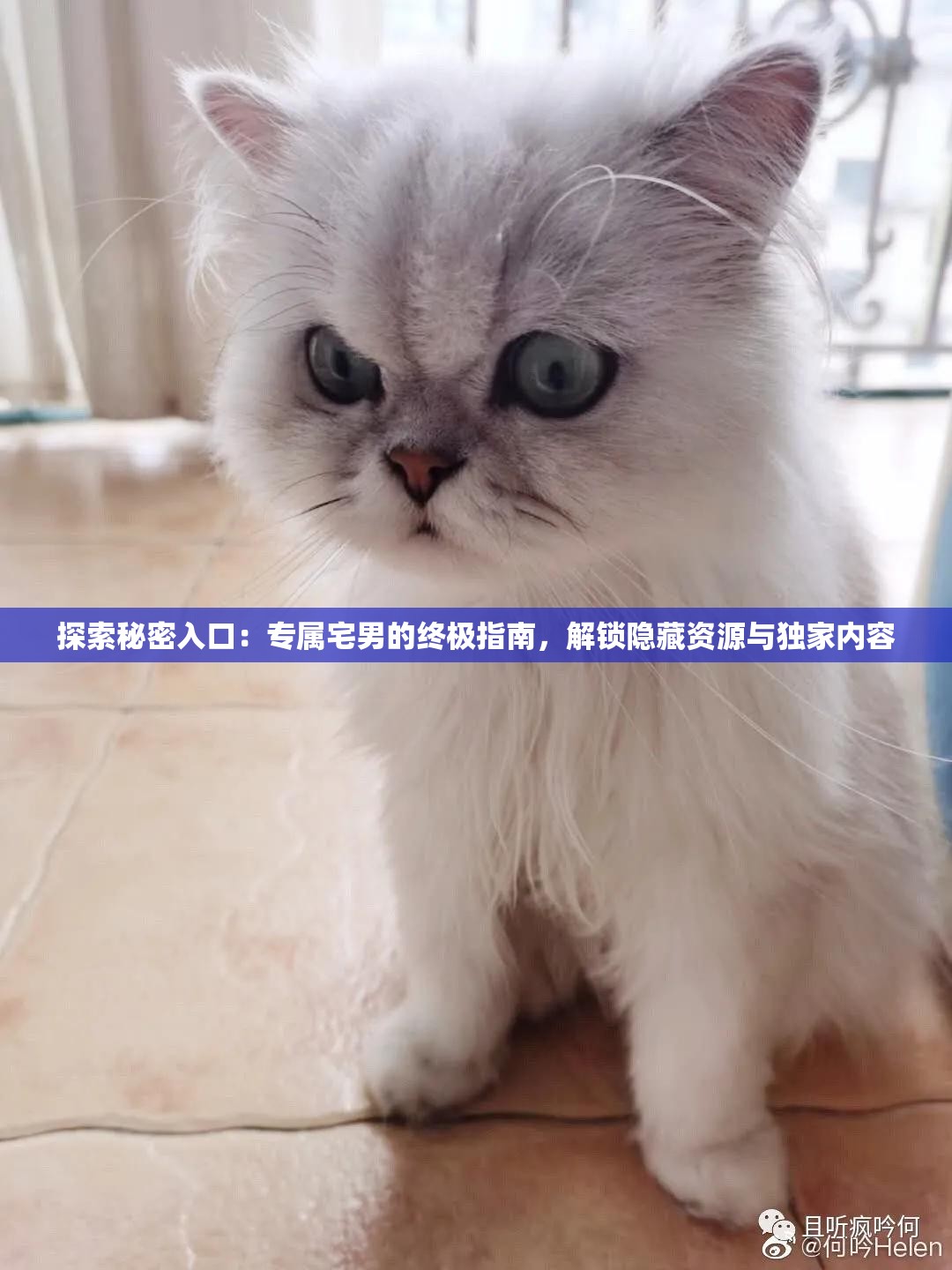 探索秘密入口：專屬宅男的終極指南，解鎖隱藏資源與獨(dú)家內(nèi)容