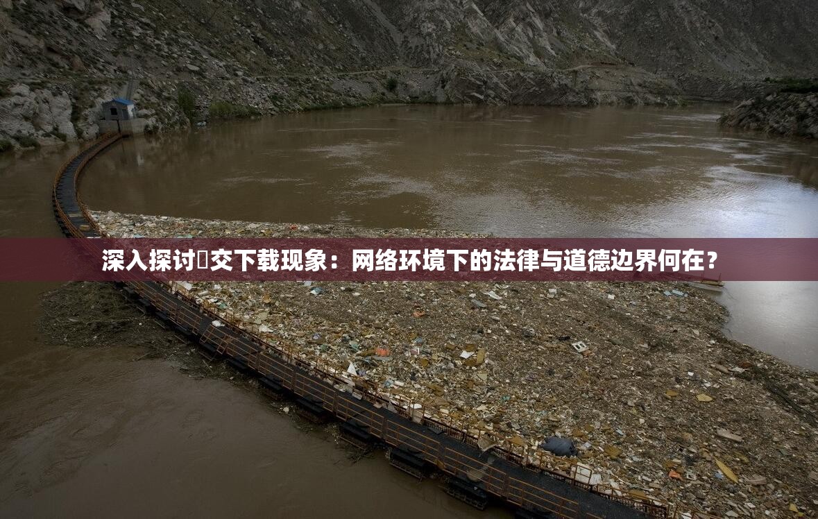 深入探討?交下載現(xiàn)象：網(wǎng)絡(luò)環(huán)境下的法律與道德邊界何在？