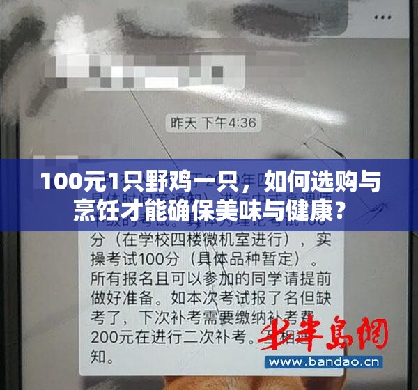 100元1只野雞一只，如何選購與烹飪才能確保美味與健康？