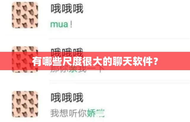 有哪些尺度很大的聊天軟件？