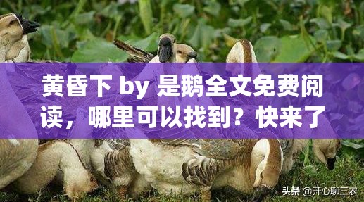 黃昏下 by 是鵝全文免費閱讀，哪里可以找到？快來了解一下