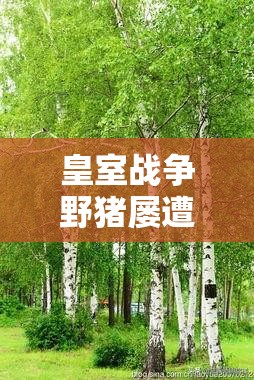 皇室戰(zhàn)爭野豬屢遭削弱后是否絕跡？探索電火豬卡組全新生存之道？