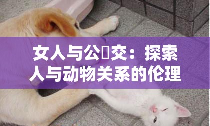 女人與公豬交：探索人與動物關系的倫理與心理深層解析