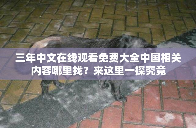 三年中文在線觀看免費(fèi)大全中國(guó)相關(guān)內(nèi)容哪里找？來這里一探究竟