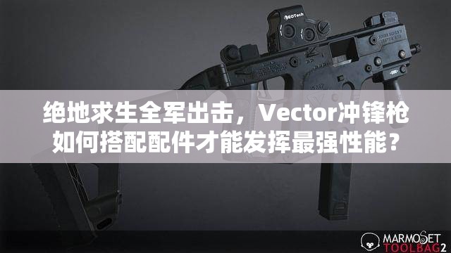 絕地求生全軍出擊，Vector沖鋒槍如何搭配配件才能發(fā)揮最強性能？
