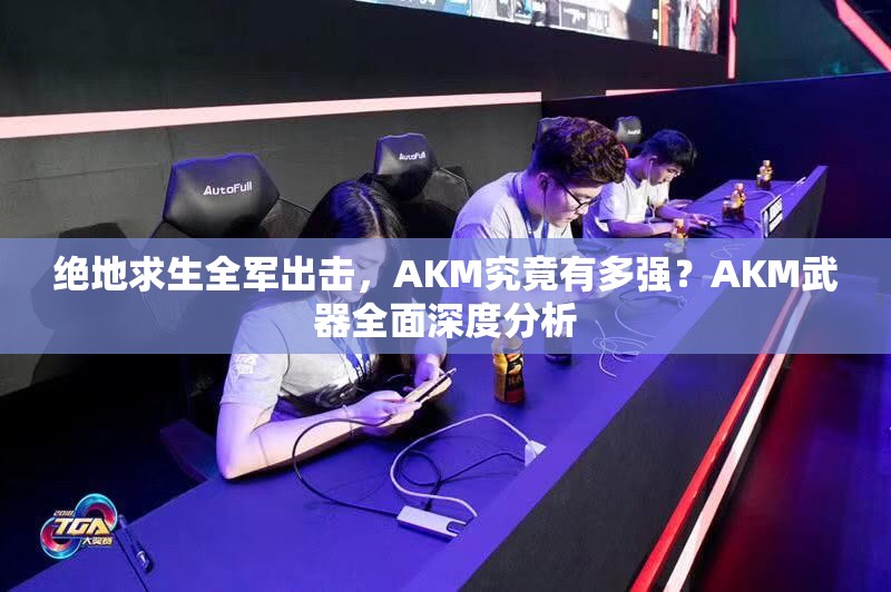 絕地求生全軍出擊，AKM究竟有多強(qiáng)？AKM武器全面深度分析