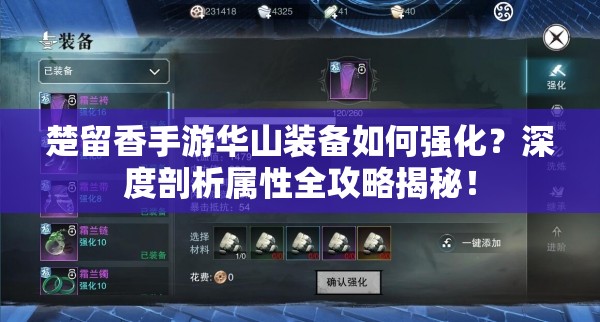 楚留香手游華山裝備如何強化？深度剖析屬性全攻略揭秘！