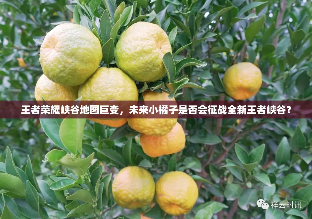 王者榮耀峽谷地圖巨變，未來(lái)小橘子是否會(huì)征戰(zhàn)全新王者峽谷？