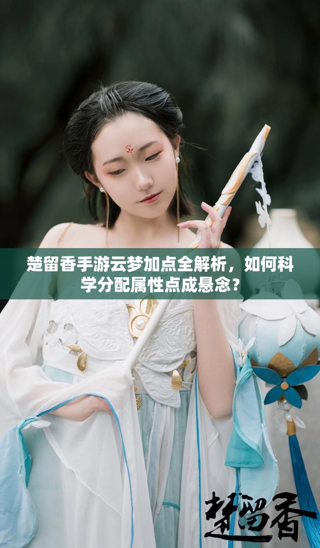 楚留香手游云夢(mèng)加點(diǎn)全解析，如何科學(xué)分配屬性點(diǎn)成懸念？