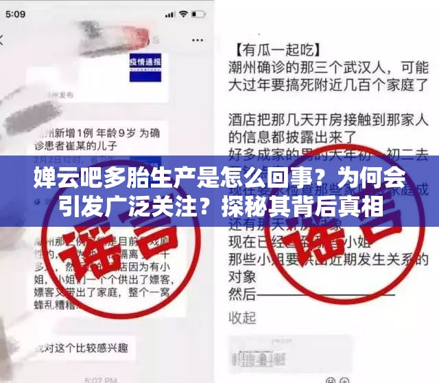 嬋云吧多胎生產(chǎn)是怎么回事？為何會(huì)引發(fā)廣泛關(guān)注？探秘其背后真相